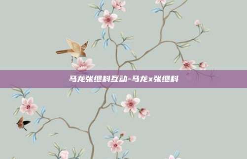 马龙张继科互动-马龙x张继科