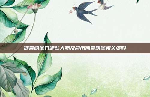 体育明星有哪些人物及简历体育明星相关资料