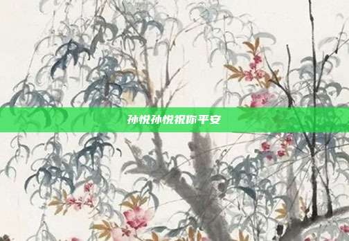 孙悦孙悦祝你平安