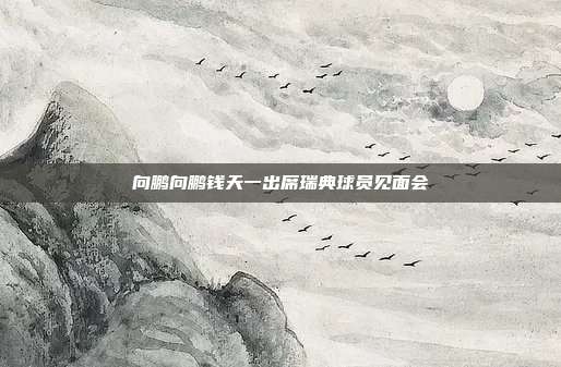 向鹏向鹏钱天一出席瑞典球员见面会