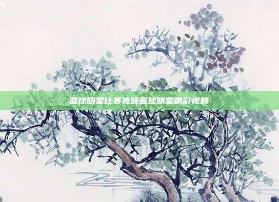 篮球明星比赛视频篮球明星精彩视频