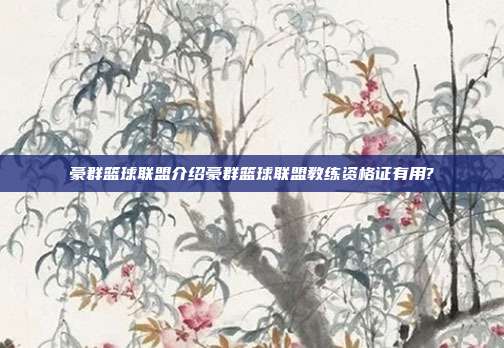 豪群篮球联盟介绍豪群篮球联盟教练资格证有用?