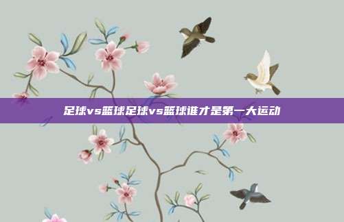 足球vs篮球足球vs篮球谁才是第一大运动