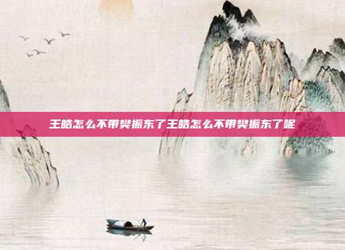 王皓怎么不带樊振东了王皓怎么不带樊振东了呢