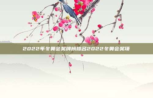 2022年冬奥会奖牌榜排名2022冬奥会奖项